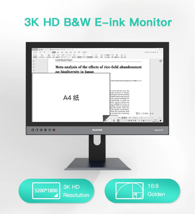 Dasung 253 REVO 25.3" Monochrome 33Hz E-Ink Monitor