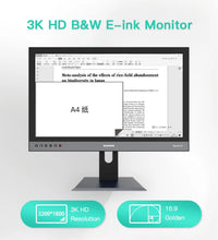 Load image into Gallery viewer, Dasung 253 REVO 25.3&quot; Monochrome 33Hz E-Ink Monitor
