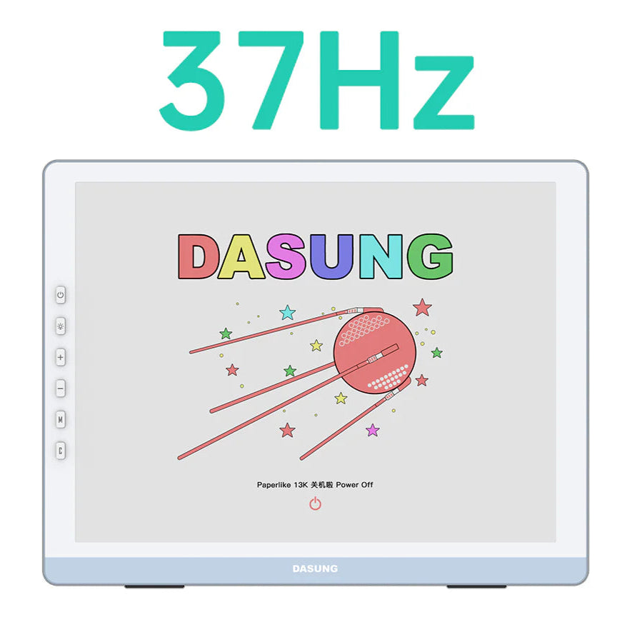 DASUNG 13.3