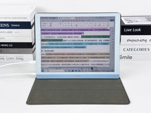 Load image into Gallery viewer, DASUNG 13K 13.3&quot; Color E-ink Monitor
