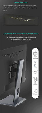 Dasung 253 REVO 25.3" Monochrome 33Hz E-Ink Monitor