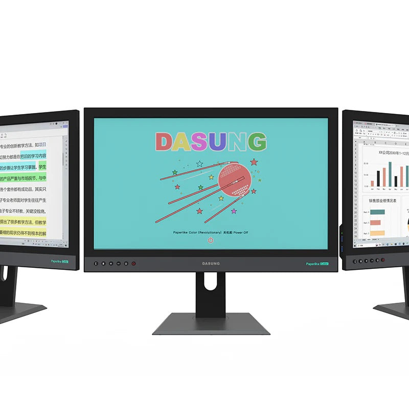 Dasung 253 REVO 25.3" Color 33Hz E-Ink Monitor