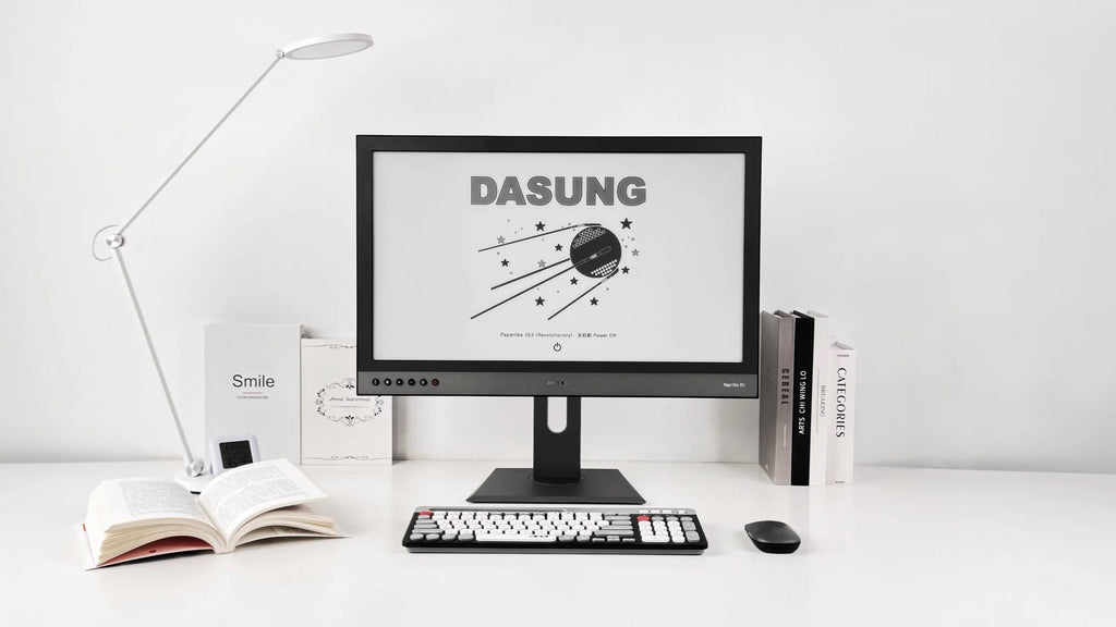 Dasung 253 REVO 25.3" Monochrome 33Hz E-Ink Monitor