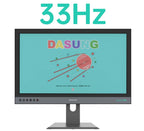 Dasung 253 REVO 25.3" Color 33Hz E-Ink Monitor