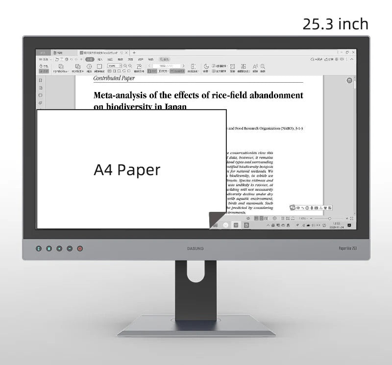Dasung 253 REVO 25.3" Monochrome 33Hz E-Ink Monitor