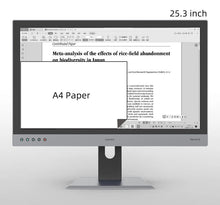 Load image into Gallery viewer, Dasung 253 REVO 25.3&quot; Monochrome 33Hz E-Ink Monitor

