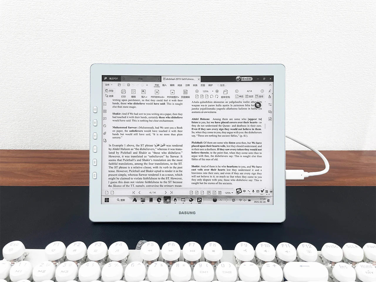 DASUNG 10.3" Monochrome 60Hz