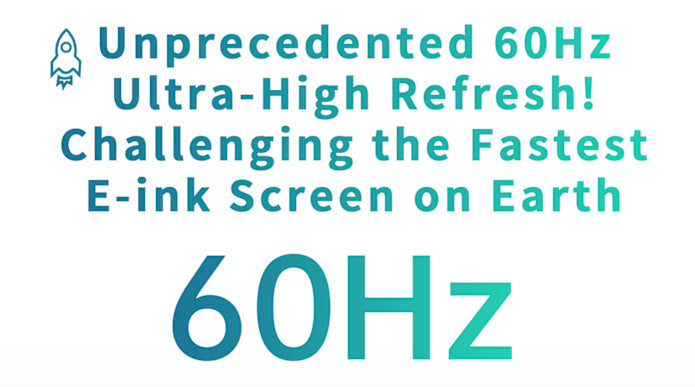 DASUNG 10.3" Monochrome 60Hz