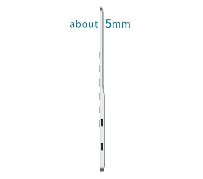 DASUNG 10.3" Monochrome 60Hz