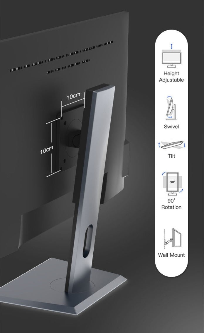 Dasung 253 REVO 25.3" Color 33Hz E-Ink Monitor